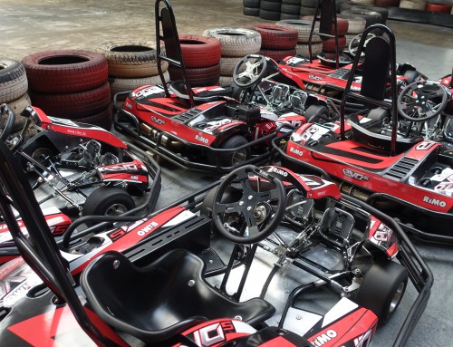 Rimo Karts EVO 5